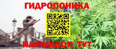 прущие грибы Малоярославец