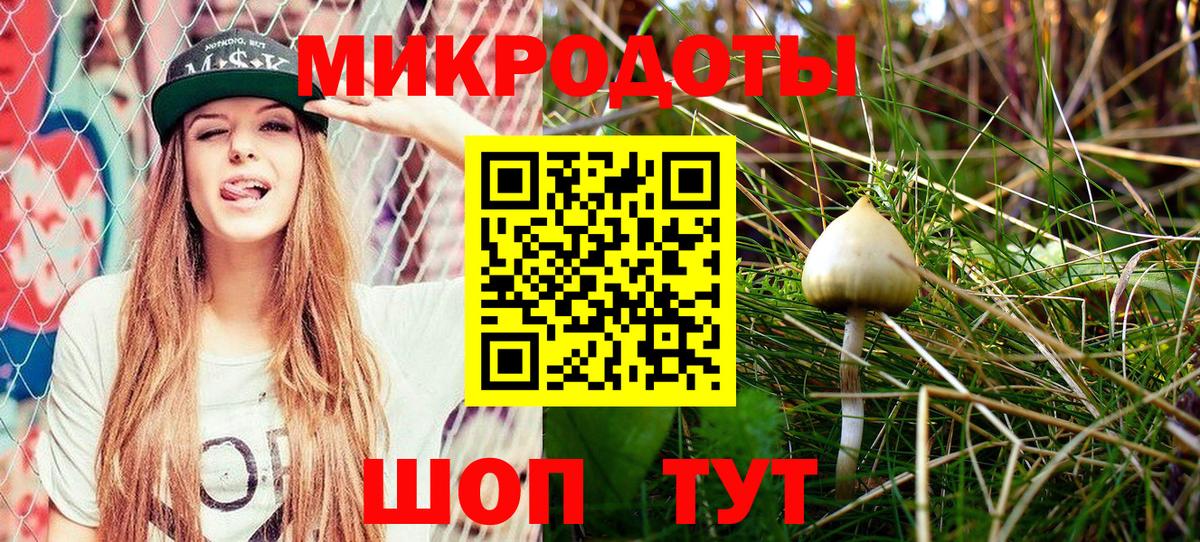 Псилоцибиновые грибы Psilocybine cubensis  Вход с VPN  Великий Устюг  Псилоцибиновые грибы Cubensis 